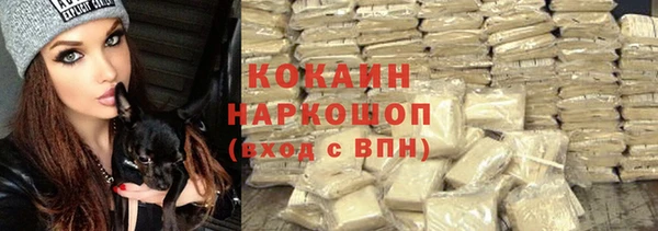индика Тайга
