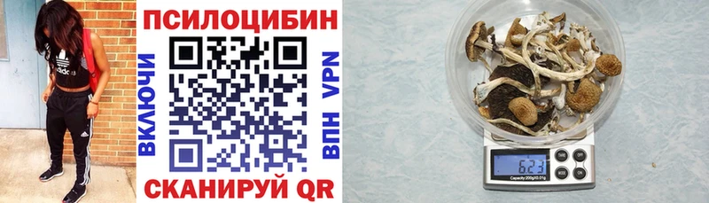 blacksprut маркетплейс  Кандалакша  Галлюциногенные грибы MAGIC MUSHROOMS 